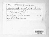 Image Associated With the Occurence